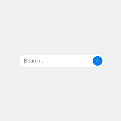 Animated Search Bar
