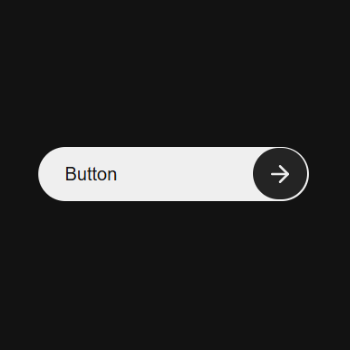 Animated Button